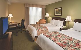 Spark By Hilton Toronto Airport